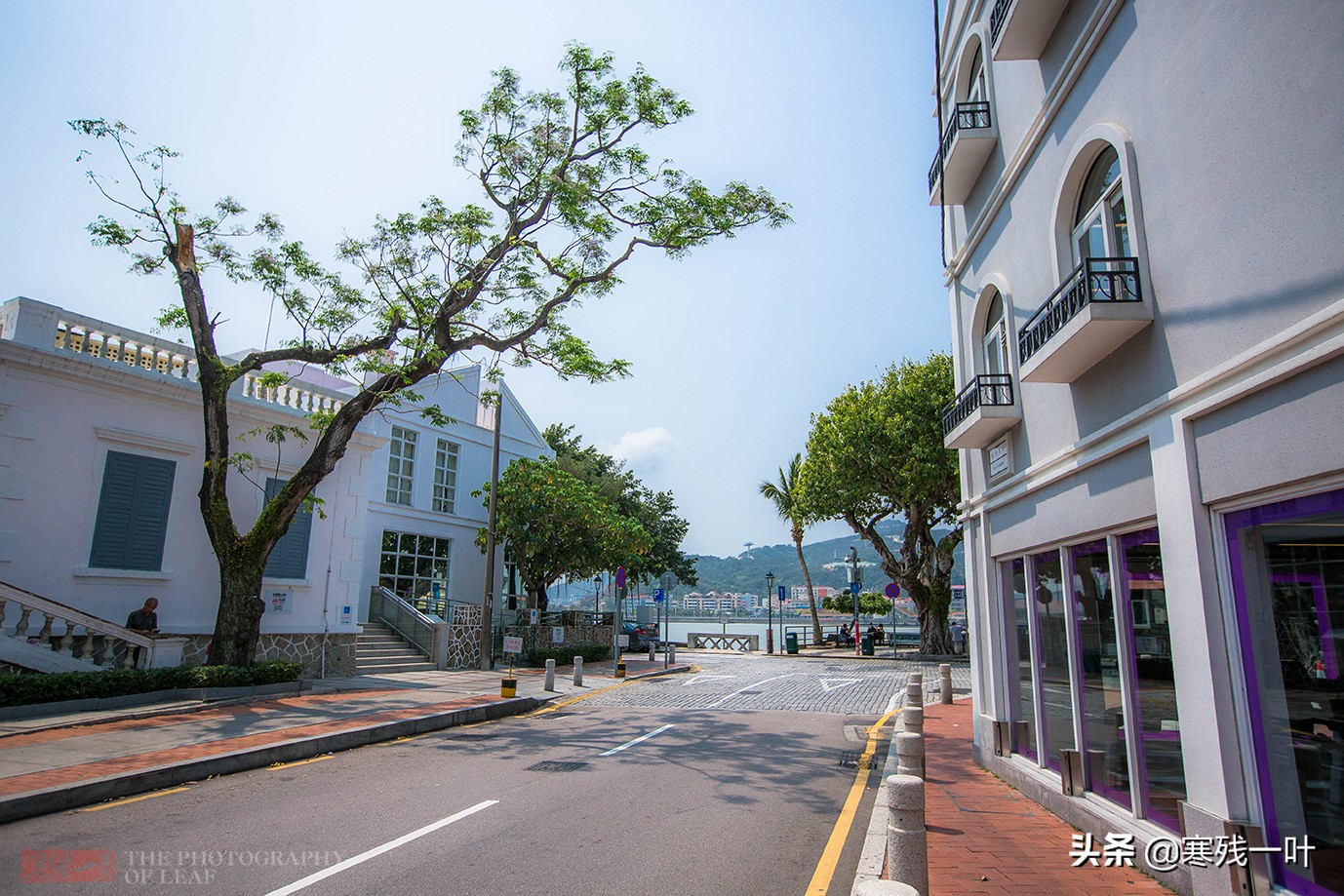 澳门小吃街葡式蛋挞,澳门特色美食之葡式蛋挞