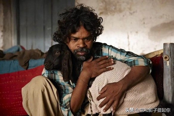 回味无穷的5部印度电影推荐,五部口碑爆棚的印度电影