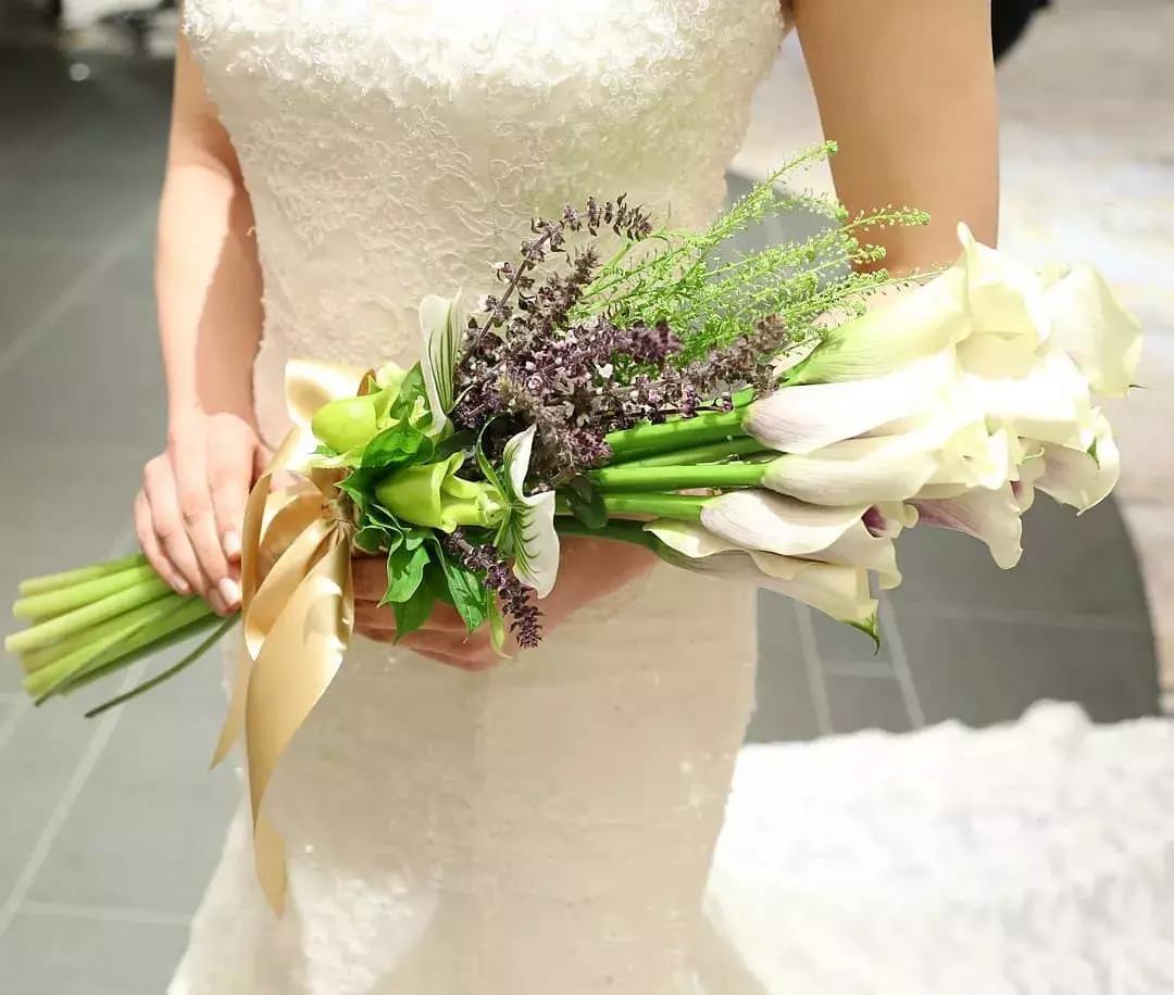 马蹄莲插花怎么养时间长,马蹄莲鲜花养护