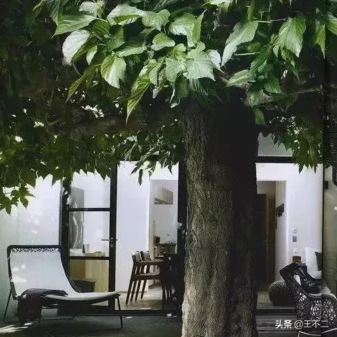 远赴人间盛宴谈笑风生不动情,远赴人间惊鸿宴谈笑风生不动情