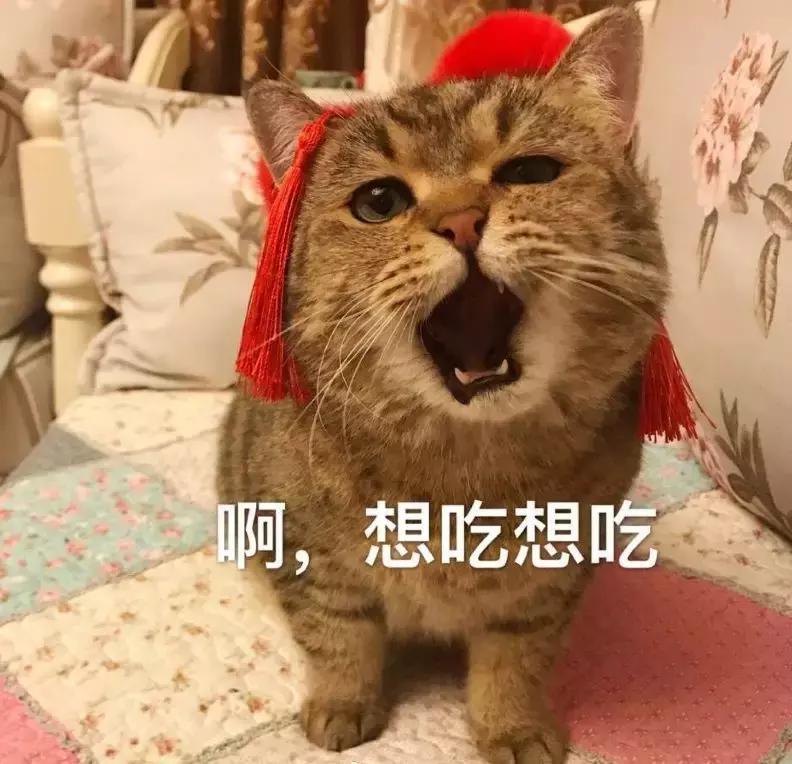 南京明档菜,南京大排档必点十大菜