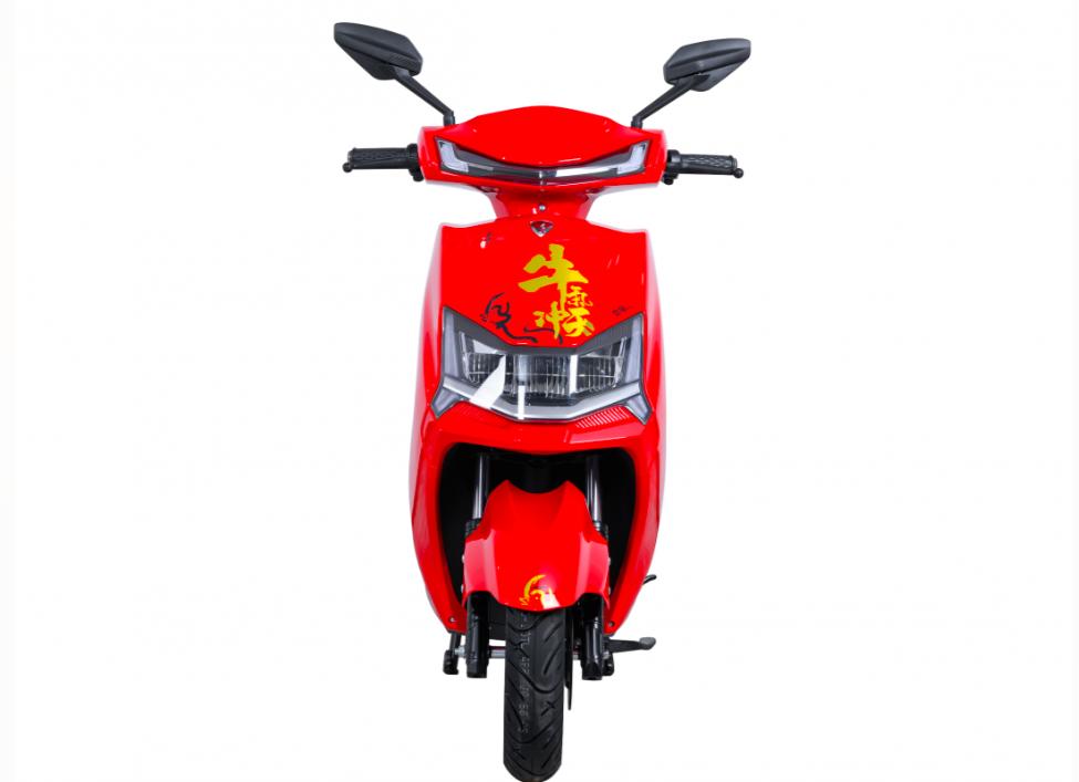 这2款电动车配1000W电机，爬坡力气大，能载160公斤