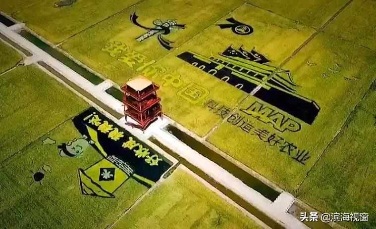 太幸福了!国庆留在天津的人要赚翻了