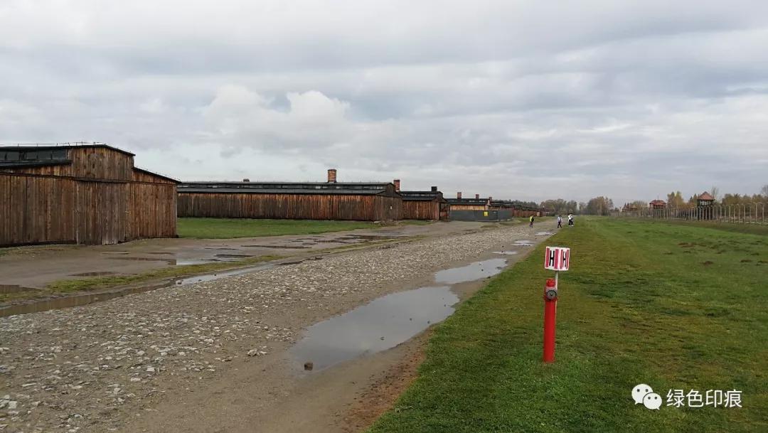 奥斯维辛集中营旅游,奥斯维辛集中营雏菊