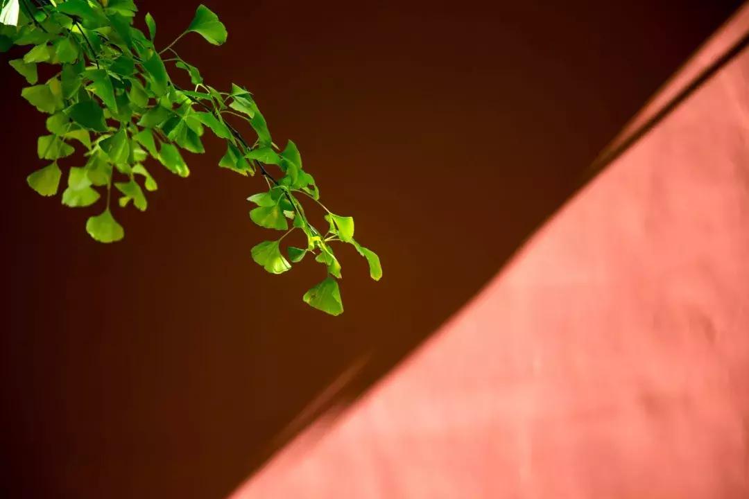 小暑至觅一处清凉守一处静,酷暑难耐寻一份心静觅一处清凉