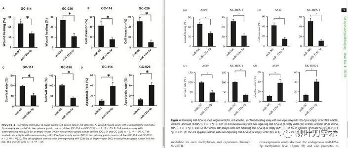 又现“论文工厂”!Bik揭露8篇完全不同的论文,结果却惊人相似