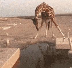 漂亮的肚皮舞老师,优秀而又美丽的肚皮舞老师