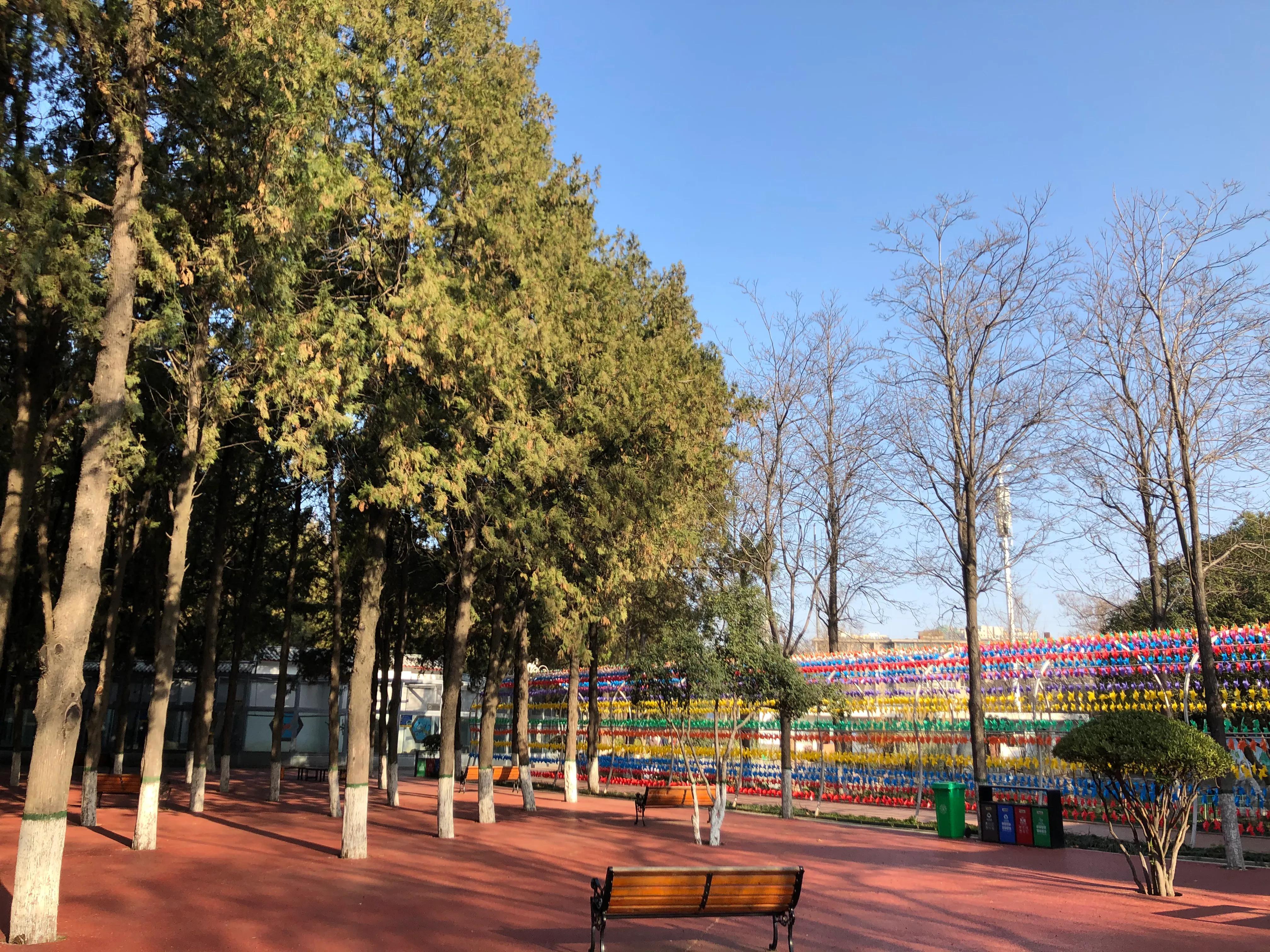 平顶山河滨公园旅游攻略,平顶山森林公园游记