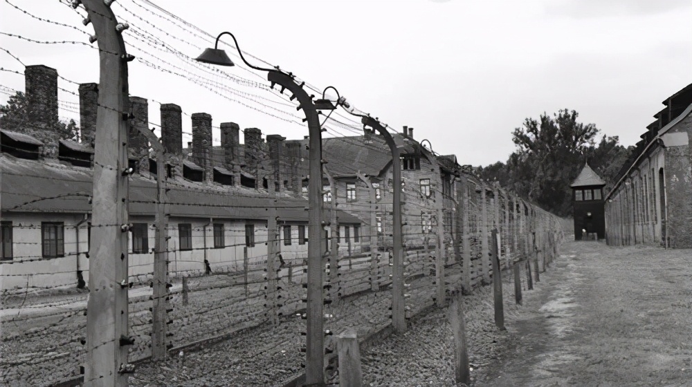 印度人说咖喱味英文,印度英语咖喱味日本英语什么味