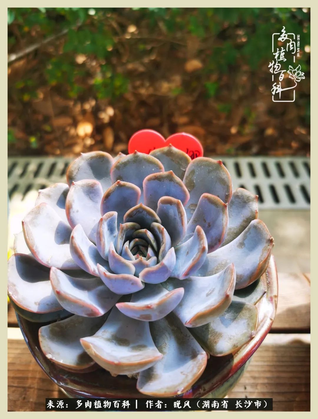 摇身一变成了奶爸,摇身一变成为打工人