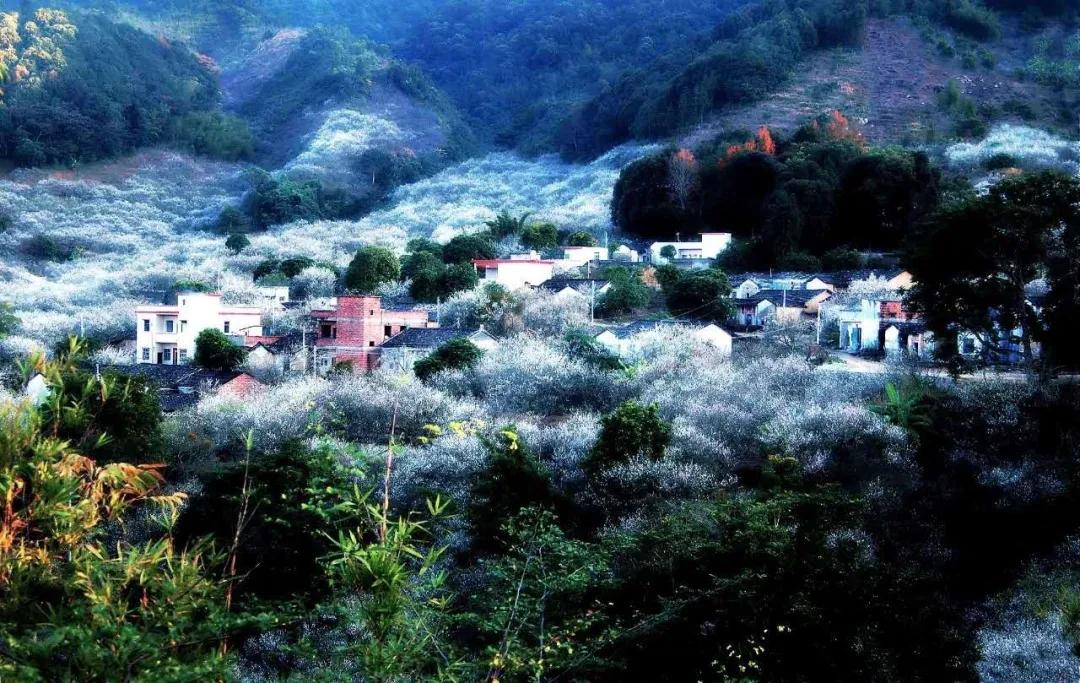 百佳诗意小城|@惠东人，快来为惠东打CALL!