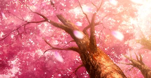 为什么要选择电信的套餐,为什么选择宽带账号上网