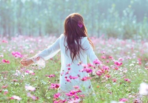 白茶清欢无别事温柔只留给意中人,白茶清欢邀明月