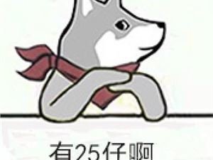 「毒奶攻略站」没人带你超时空？那是因为你当二五仔不合格