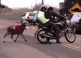 又短又搞笑的笑话笑死人,朋友圈笑死人不偿命笑话全集