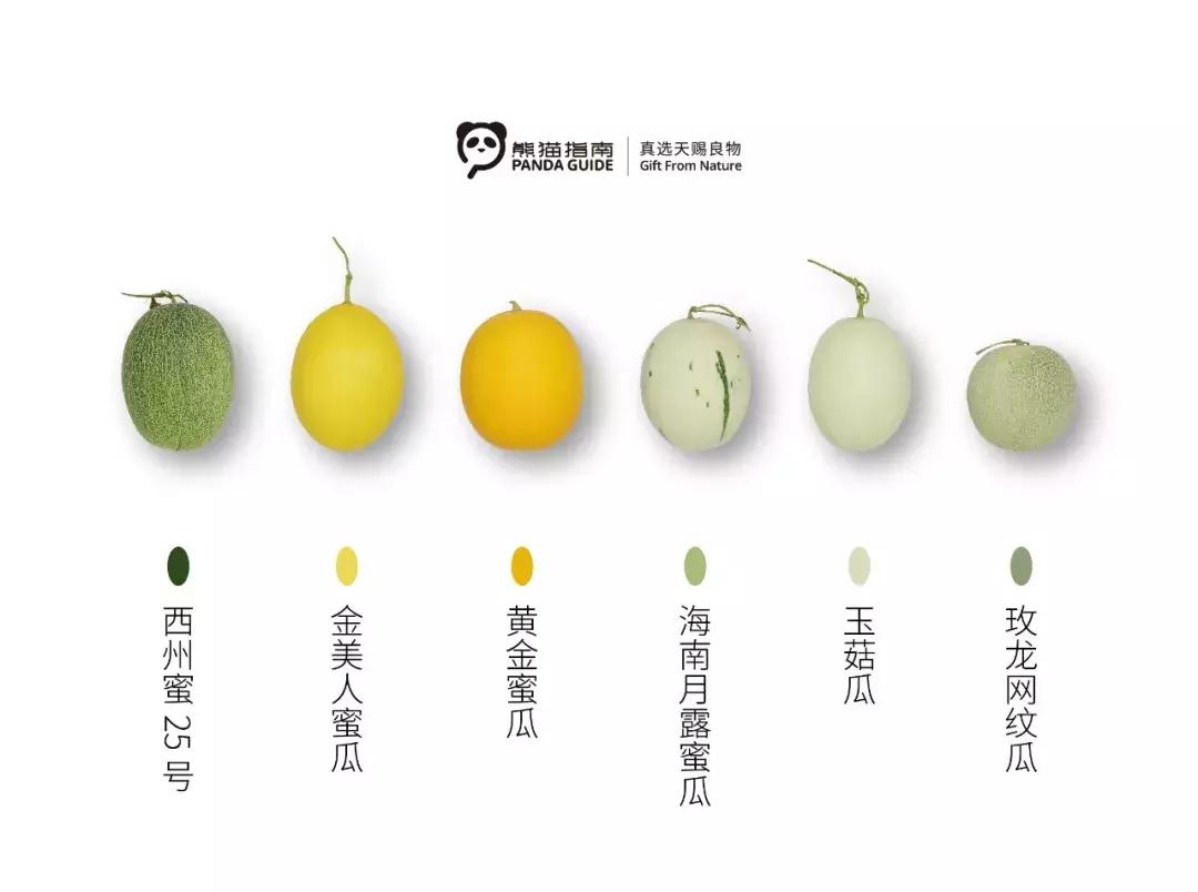 甜瓜好吃吗视频,甜瓜怎么样才算成熟