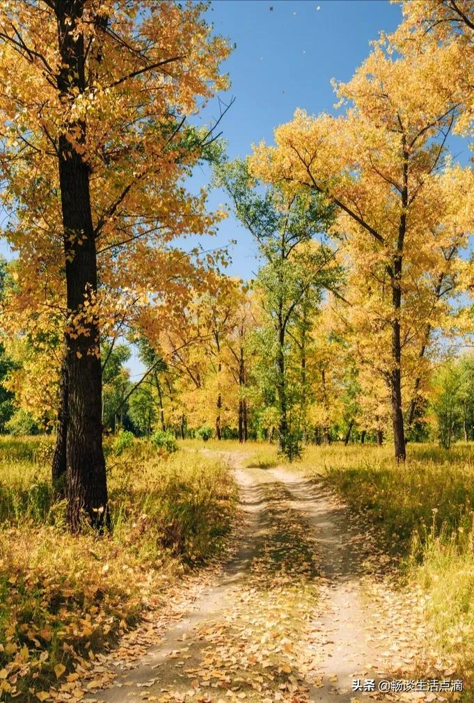 九月十三下雨有什么说法,九月十四下雨什么预兆