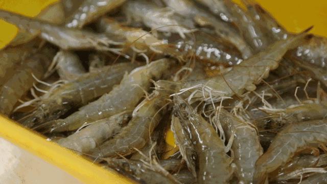 秦皇岛美食排行榜前十名海鲜,秦皇岛最好的海鲜自助餐厅排名榜