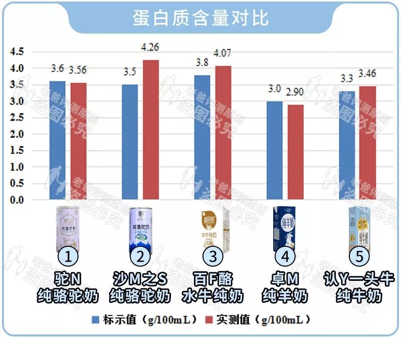 牛奶羊奶骆驼奶哪个养胃,牦牛奶牛奶羊奶骆驼奶哪个奶更好