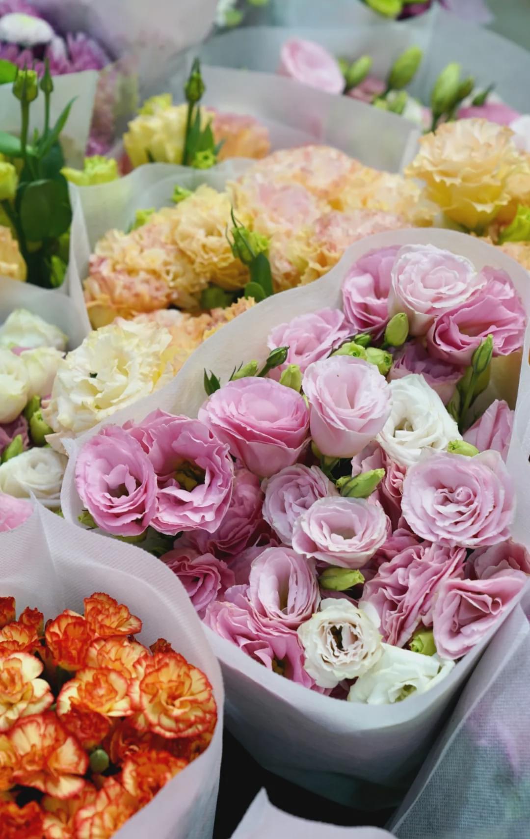 乌鲁木齐附近最便宜的花市,乌鲁木齐市花街在哪里