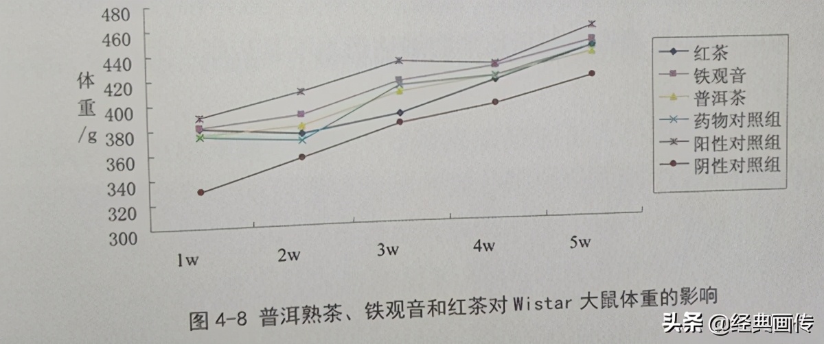 苹果普洱茶能减肥吗,普洱茶可以减肥降压