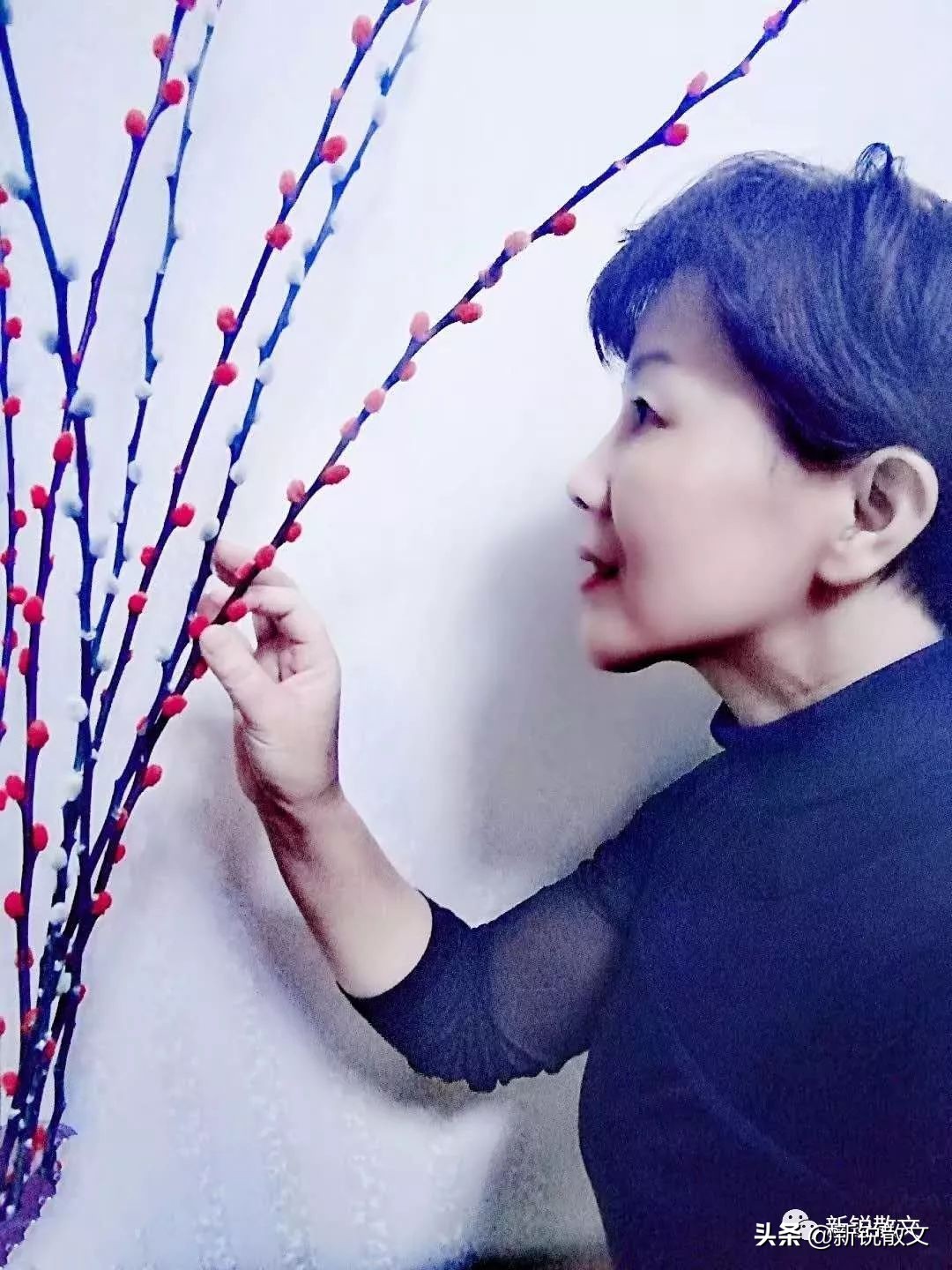 一座与山完美融合的寺庙是有多美,一座充满着宁静和祥和的寺庙