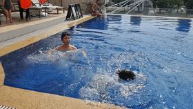 新加坡十大必住酒店,在新加坡住酒店多少钱