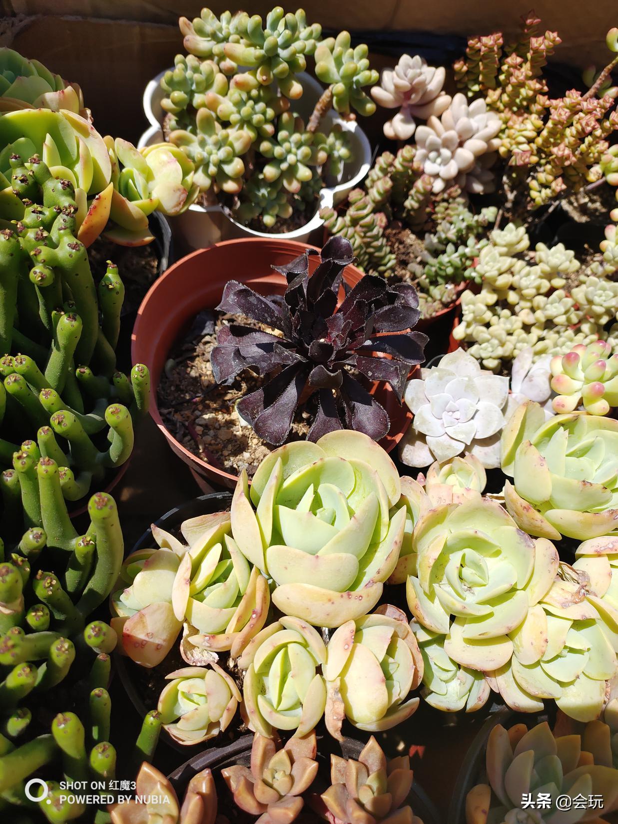 红魔3可以用rog的风扇吗,红魔3风扇声音