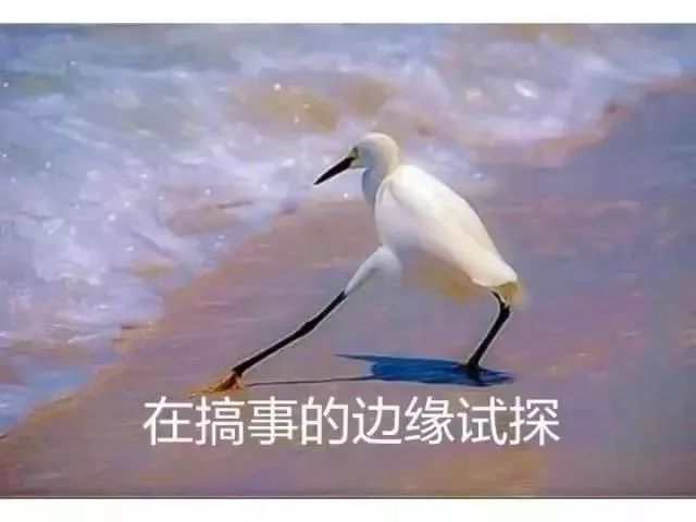 担心日本留学经济负担重？听我的！看完这五点就能解决