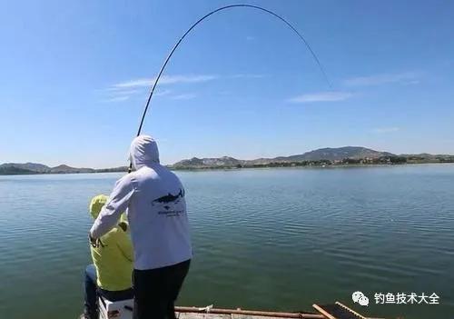 钓三种常见大鱼时遛鱼难度对比，分析透彻，一针见血