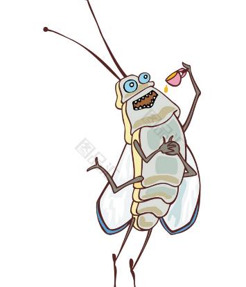 家有猫猫如何安全杀蟑螂,家里有蟑螂怎么把它弄死