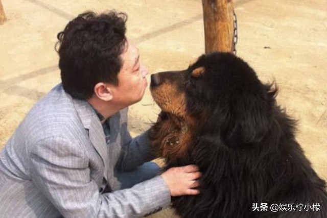 于谦纯血马,郭德纲于谦纯血马