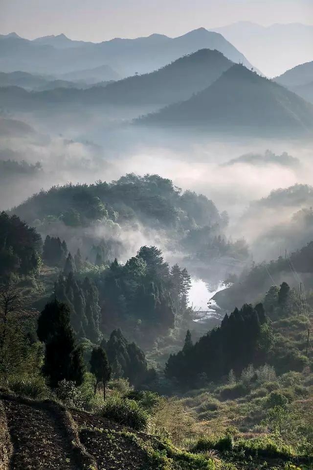 所谓的康养是真的吗,太顺太极