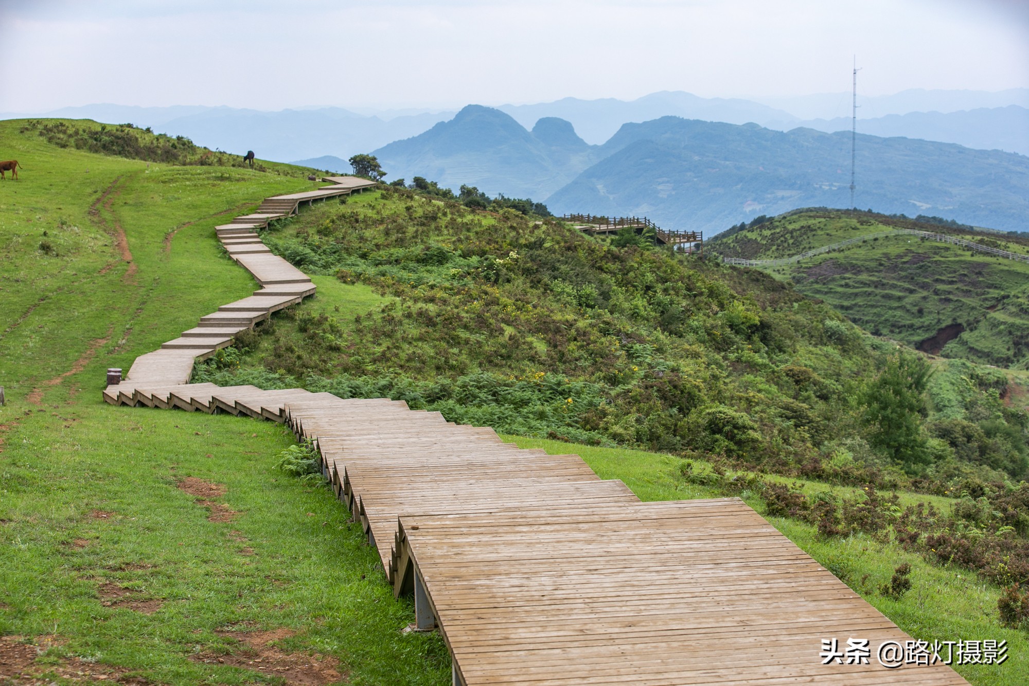 适合夏天的避暑胜地,夏天凉快的地方避暑胜地