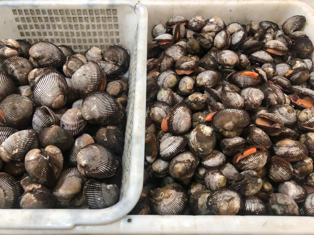 威海100元一斤的海鲜,六月份威海海鲜价格