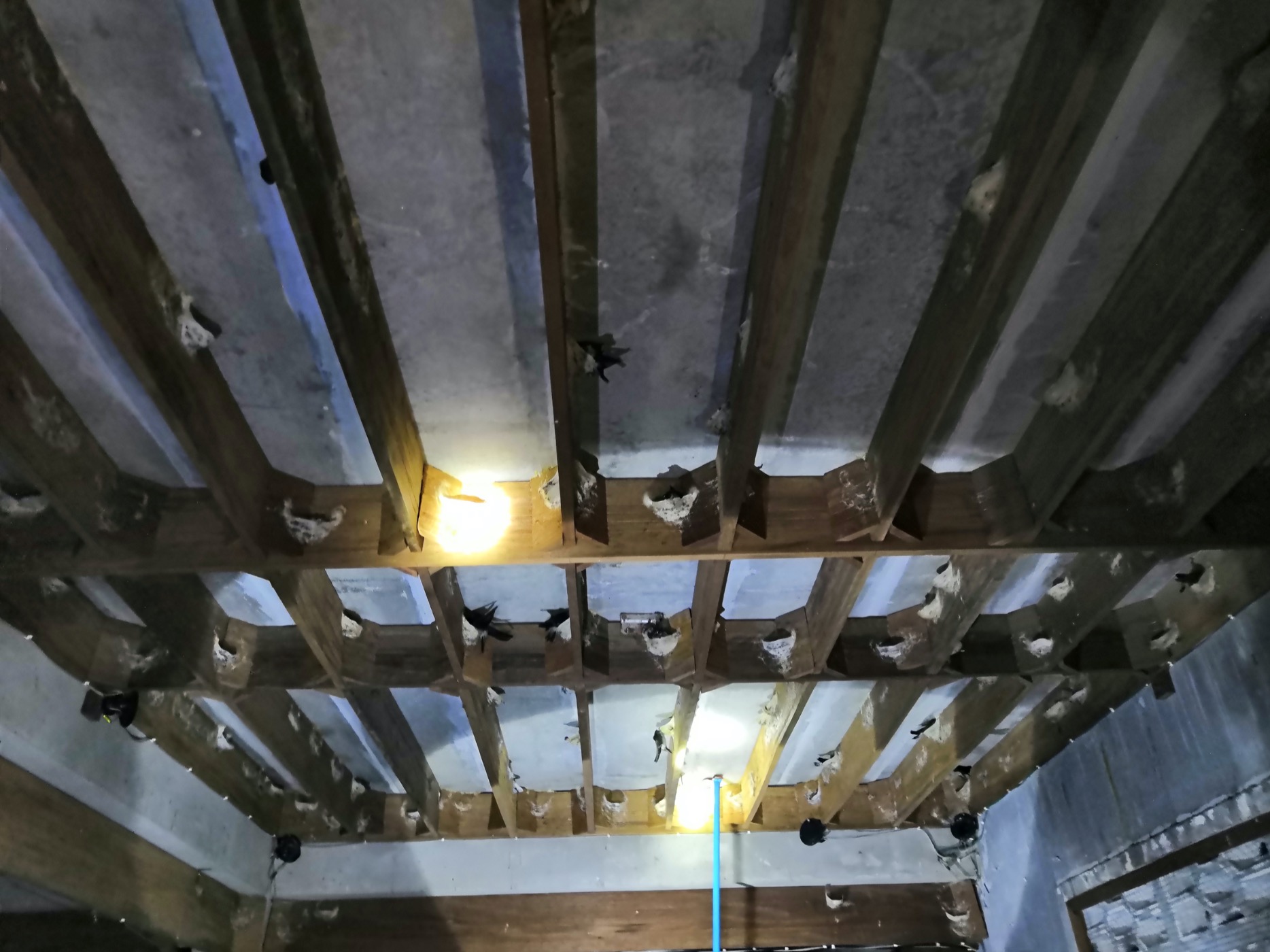 老婆怀孕我去照顾她家,老婆怀孕了我在外面打工