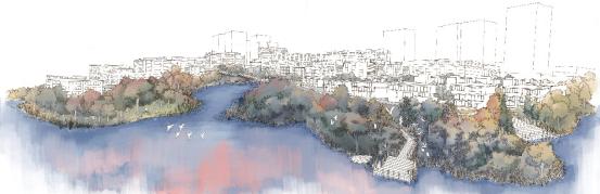 香港置地拿地逻辑,地产深度观察