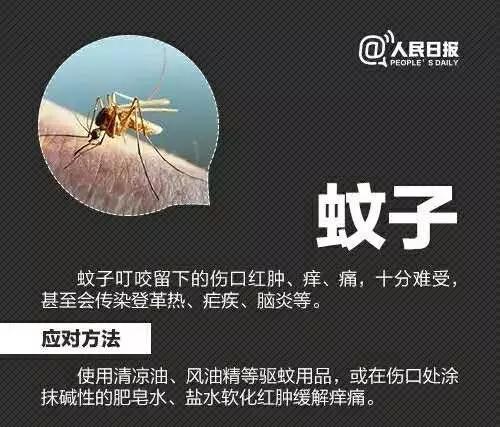 十大毒虫咬人后果,十大毒虫咬人了怎么办