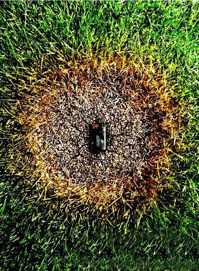 南孚电池可以用usb充电吗,usb电池和南孚