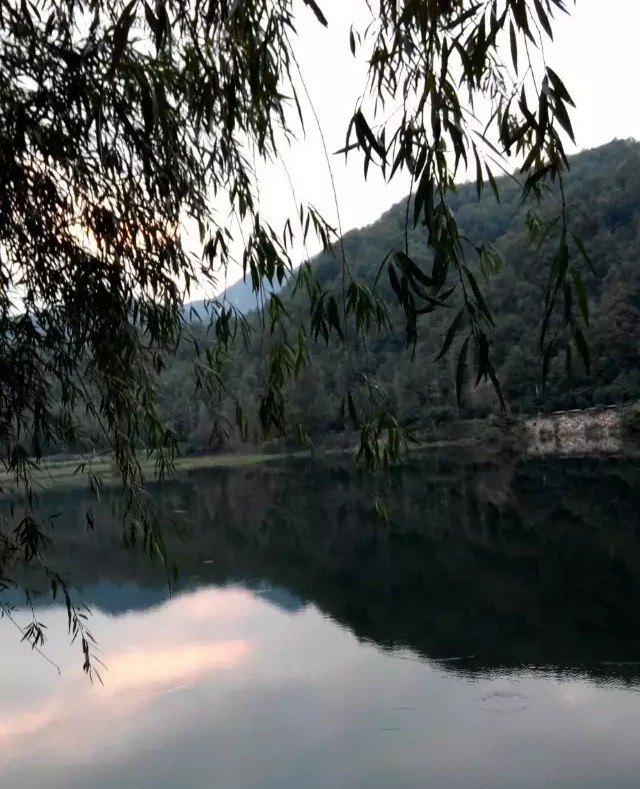 椴佸北灏у北鏆撮洦,椴佸北灏у北閲戦《