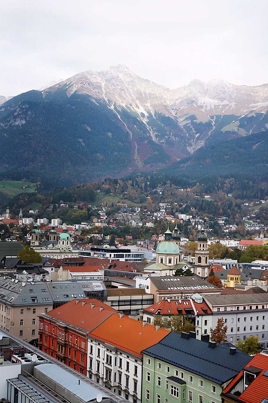 施华洛世奇花漾魔力寓意 (施华洛世奇的花样魔力)