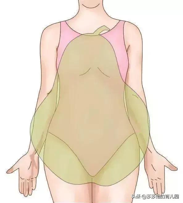 上身胖是脾胃不好下身胖,肚子胖到底是脾问题还是肾问题