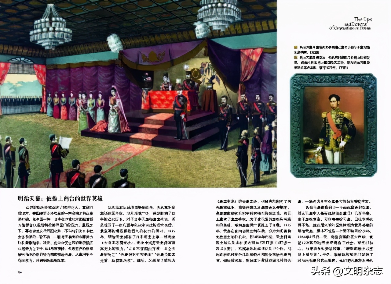 菊花王朝盛衰记,菊花王朝故事