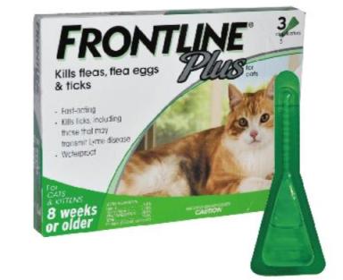 猫咪体内驱虫和体外驱虫能一起吗,猫咪体外驱虫为什么要禁食