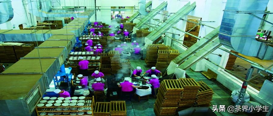 2019年双11普洱茶销量排名,双十一普洱茶排行单品