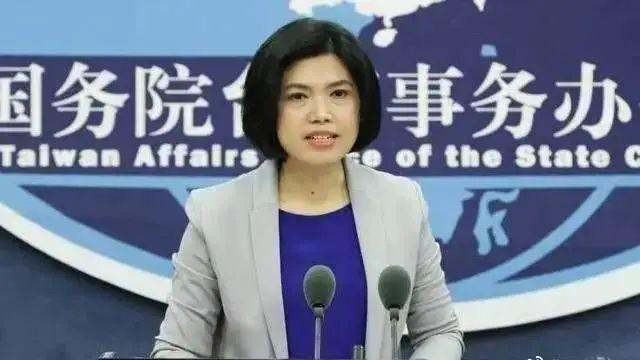 后果自负！压力之下立陶宛拒绝“通缉犯”吴钊燮，蔡英文又想窜访