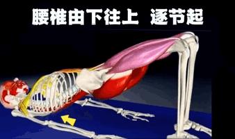 全套瑜伽图解教你练瑜伽,桥式瑜伽视频教程全套