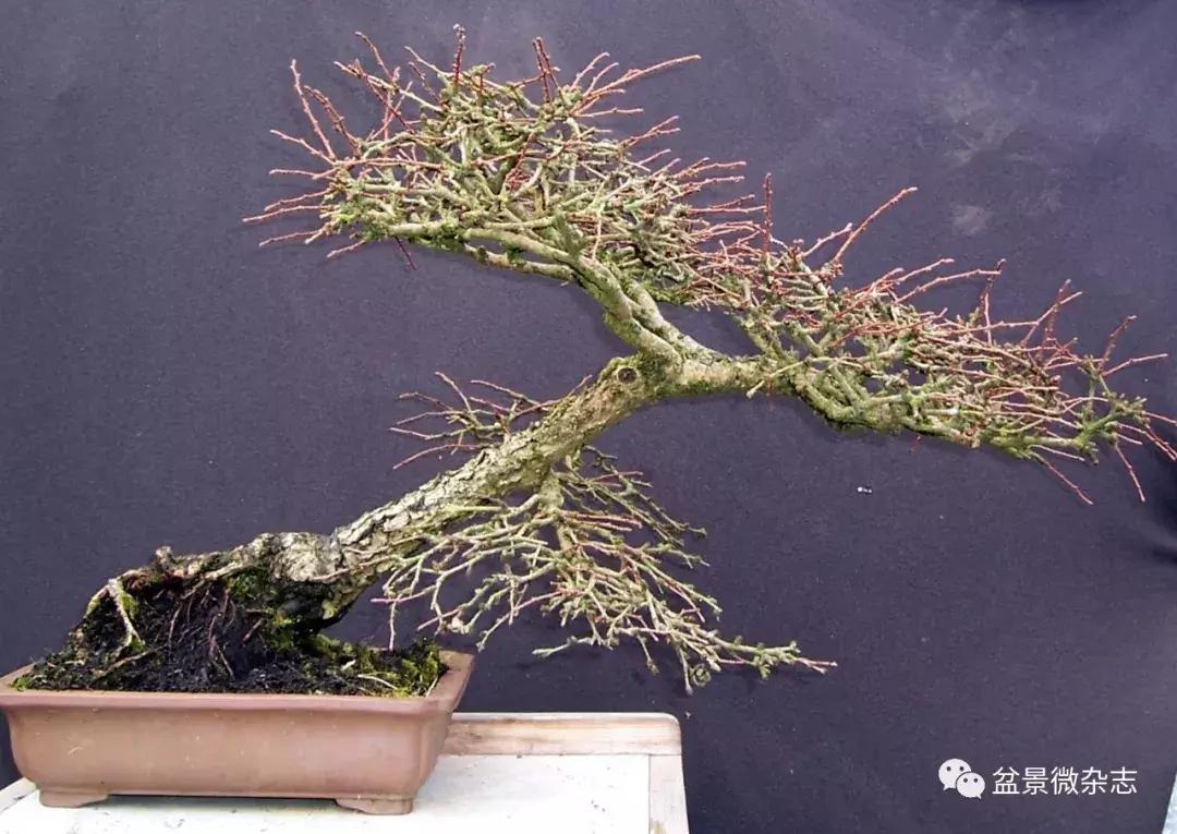 催老的坏习惯有哪些,催人老的四大秘诀