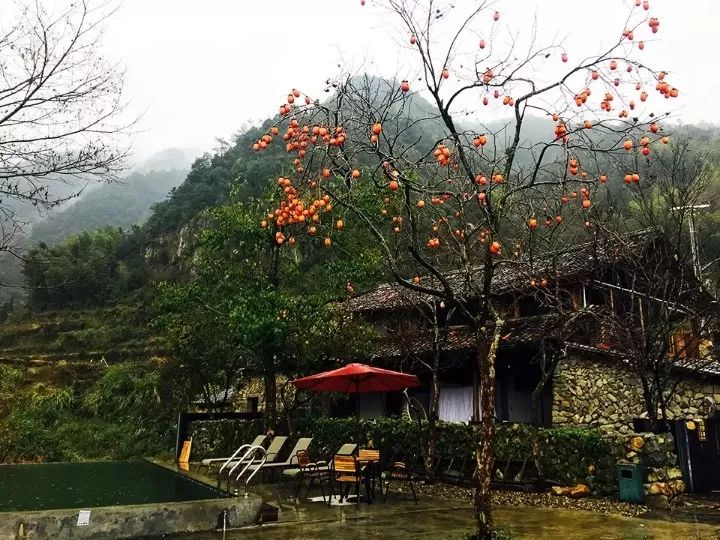 浙江杭州西湖富春江新安江千岛湖,新安江富春江千岛湖自驾游路线