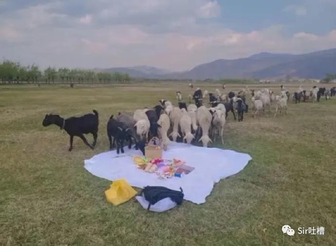 对象偷看你的手机怎么办,对象偷看自己手机怎么办